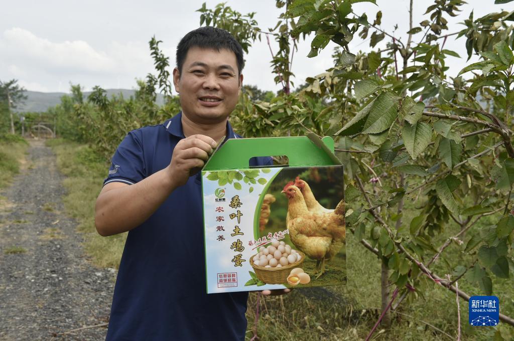 试玩赚钱平台